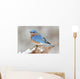 Male Eastern Bluebird in Snow Wall Mural