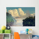 Cloudy Iguazu Waterfall Wall Mural