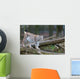 Northern Lynx Wall Mural
