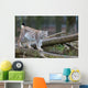 Northern Lynx Wall Mural