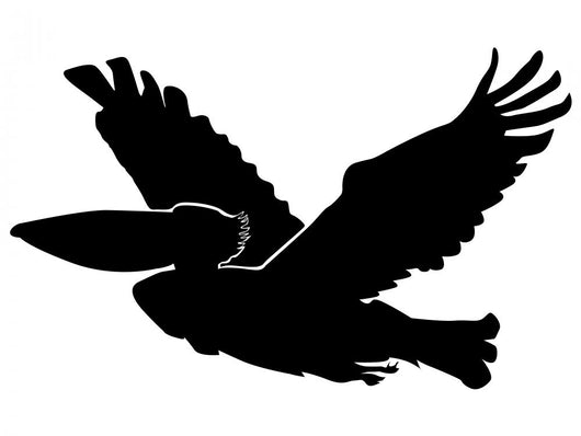 Pelican Wall Decal