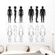 human body anatomy,front vector man, woman silhouette Wall Decal
