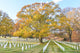 Washington Dc - Arlington National Cemetery In Autumn Wall Decal