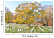 Washington DC - Arlington National Cemetery in Autumn Wall Decal