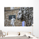Firenze David Wall Mural