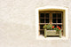 Rural Window Wall Decal