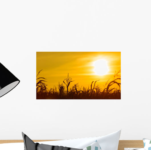 Corn field at the yellow sunset Wall Mural
