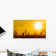 Corn field at the yellow sunset Wall Mural