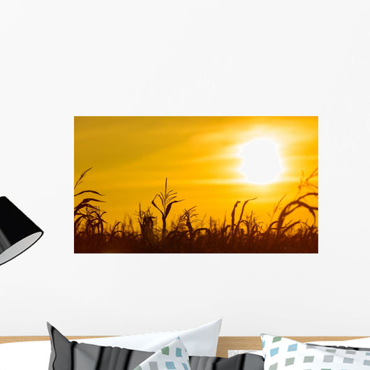 Corn field at the yellow sunset Wall Mural