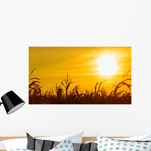 Corn field at the yellow sunset Wall Mural