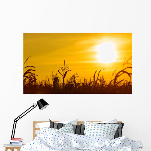 Corn field at the yellow sunset Wall Mural