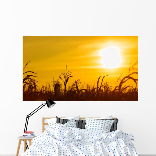 Corn field at the yellow sunset Wall Mural