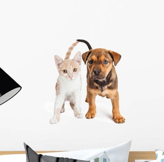 Puppy and Kitten Standing Together Wall Decal