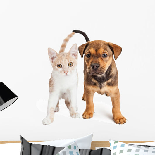 Puppy and Kitten Standing Together Wall Decal