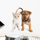 Puppy and Kitten Standing Together Wall Decal