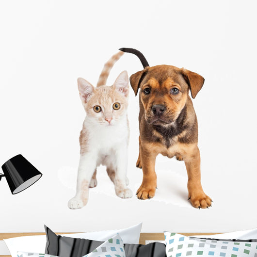 Puppy and Kitten Standing Together Wall Decal