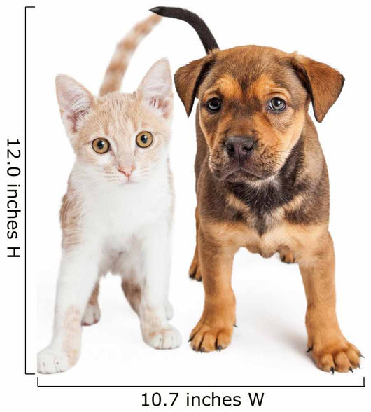 Puppy and Kitten Standing Together Wall Decal