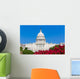 Capitol building Washington DC pink flowers USA Wall Mural