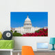 Capitol building Washington DC pink flowers USA Wall Mural