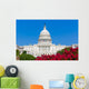 Capitol building Washington DC pink flowers USA Wall Mural