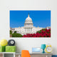 Capitol building Washington DC pink flowers USA Wall Mural
