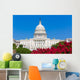 Capitol building Washington DC pink flowers USA Wall Mural