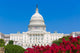 Capitol Building Washington Dc Pink Flowers USA Wall Decal 2