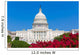 Capitol building Washington DC pink flowers USA Wall Mural