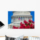 Capitol Building Washington Dc Wall Decal
