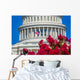 Capitol Building Washington Dc Wall Decal