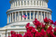 Capitol Building Washington Dc Wall Decal