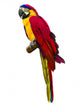 Colorful Red Parrot Macaw Wall Decal