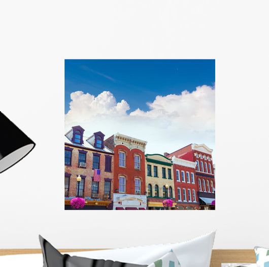 Georgetown Historical District Facades Wall Decal