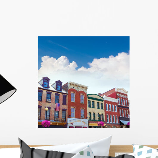 Georgetown Historical District Facades Wall Decal