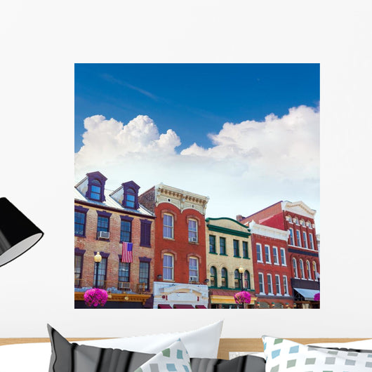 Georgetown Historical District Facades Wall Decal