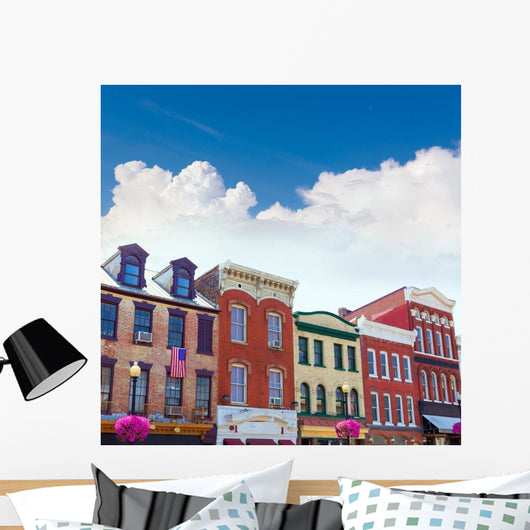Georgetown Historical District Facades Wall Decal