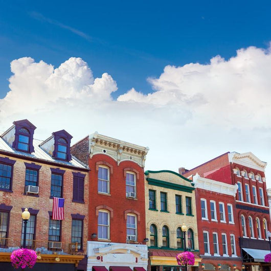 Georgetown Historical District Facades Wall Decal