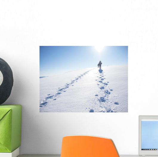 Winter Mountain Travel Wall Decal