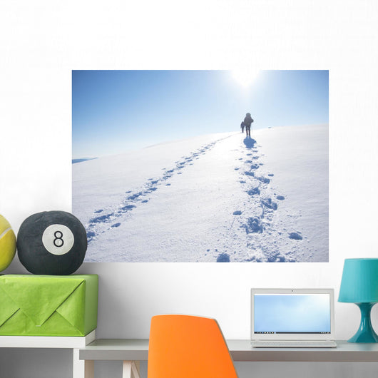 Winter Mountain Travel Wall Decal