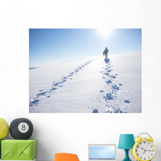 Winter Mountain Travel Wall Decal