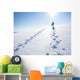Winter Mountain Travel Wall Decal