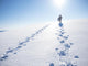 Winter Mountain Travel Wall Decal