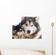 chien femelle Malamute et son chiot Wall Mural