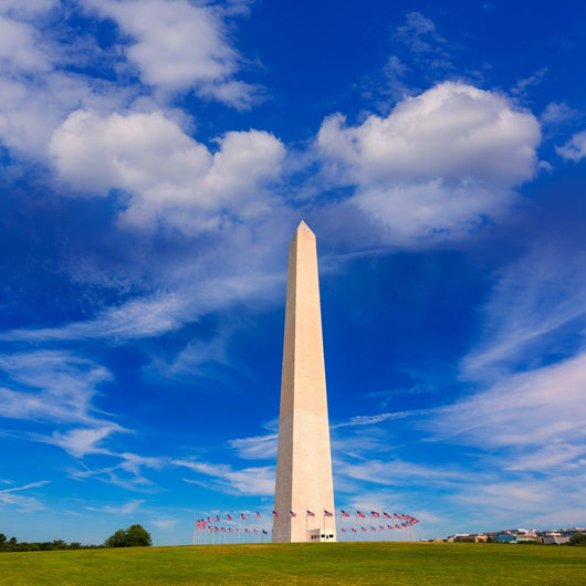 Washington Monument In District Of Columbia Dc Wall Decal 2