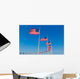 Washington Monument flags Wall Mural