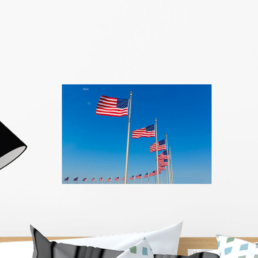 Washington Monument flags Wall Mural