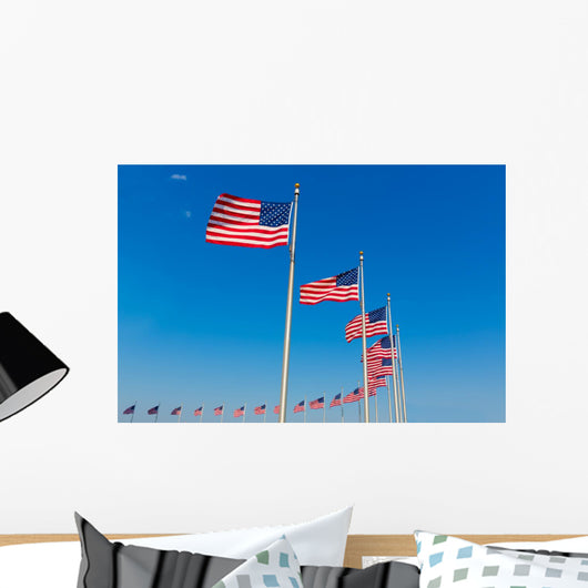 Washington Monument flags Wall Mural