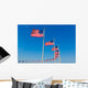Washington Monument flags Wall Mural