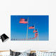 Washington Monument flags Wall Mural