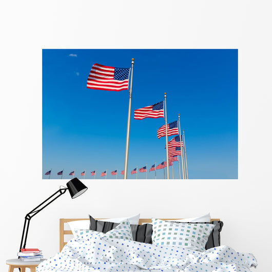 Washington Monument flags Wall Mural